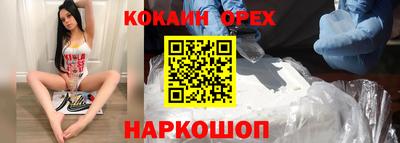 дурь Кингисепп