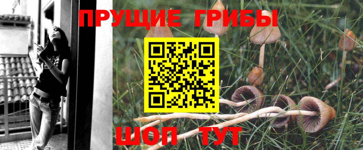 Холмск  Галлюциногенные грибы мицелий  Псилоцибиновые грибы MAGIC MUSHROOMS  Вход с VPN 